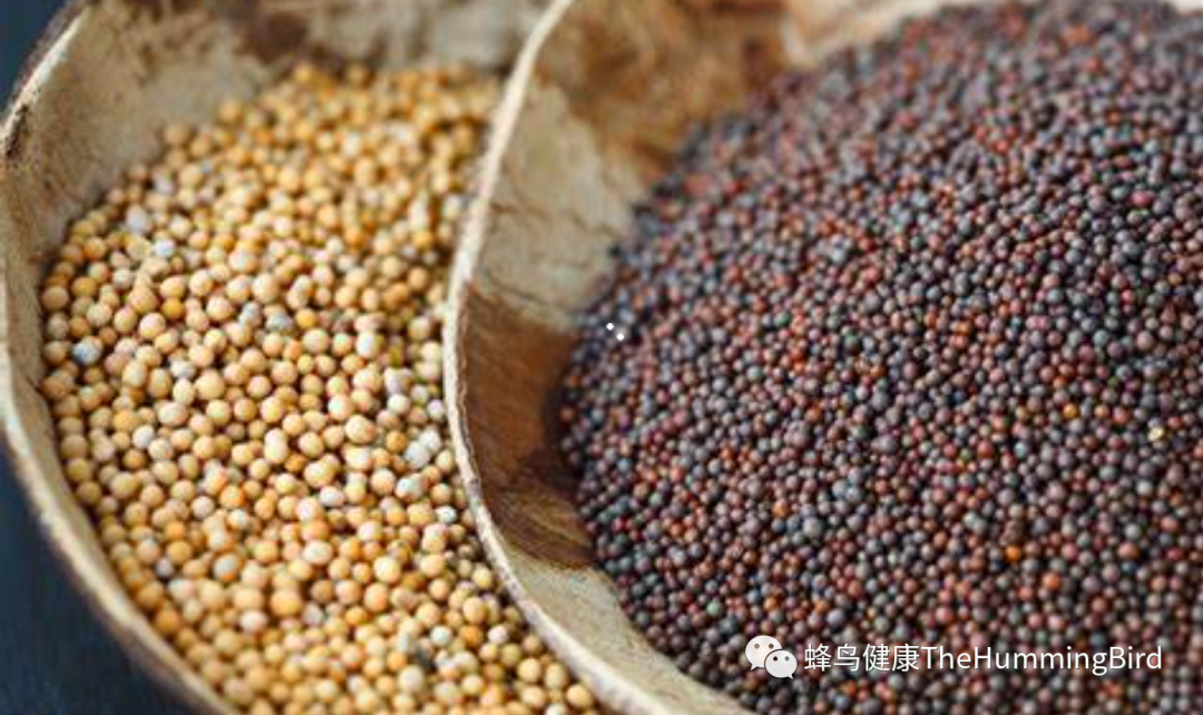 香料篇（七）- 芥子 Mustard Seeds